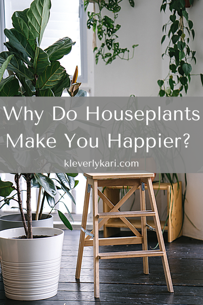 Why do Houseplants Make You Happier? - KleverlyKari